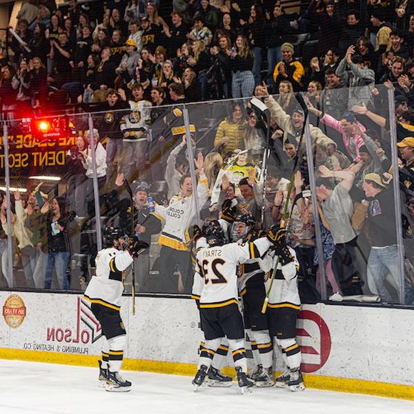 Tigers Clinch Home Ice for NCHC Playoffs 